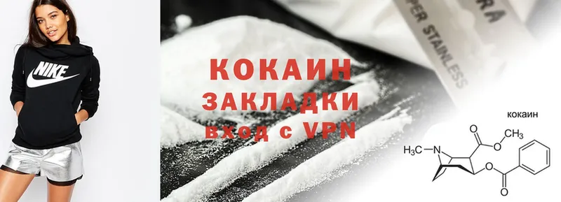 дарнет шоп  Зеленоградск  Cocaine Fish Scale 