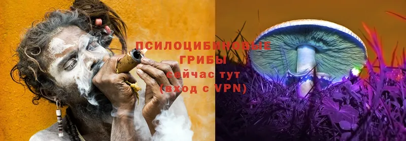 Галлюциногенные грибы мухоморы  Зеленоградск 